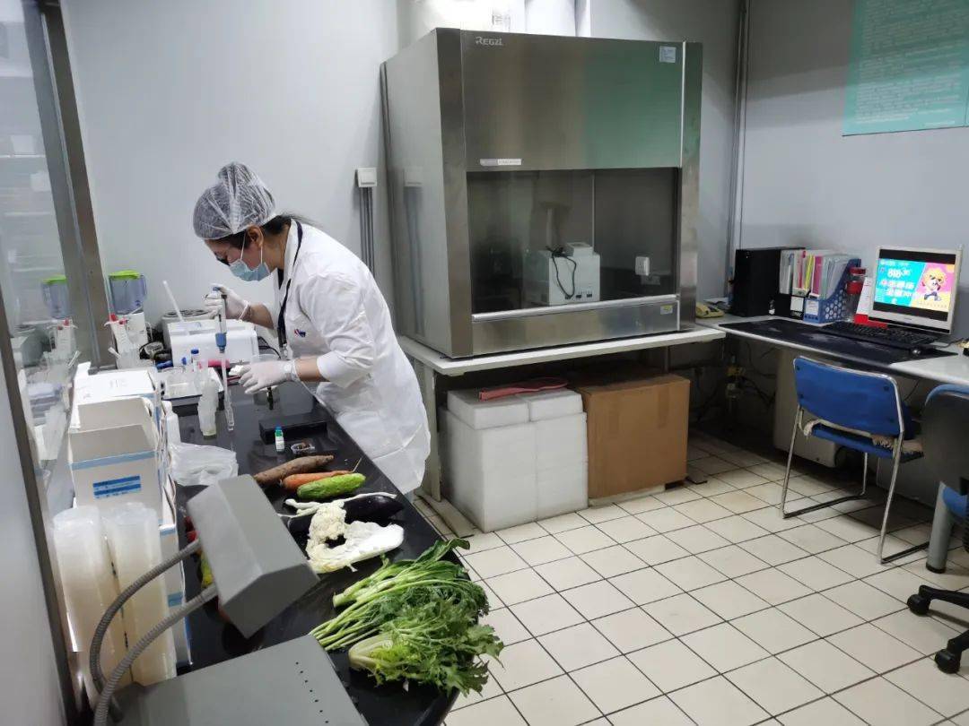 安乡食品检测实验室装修方案
